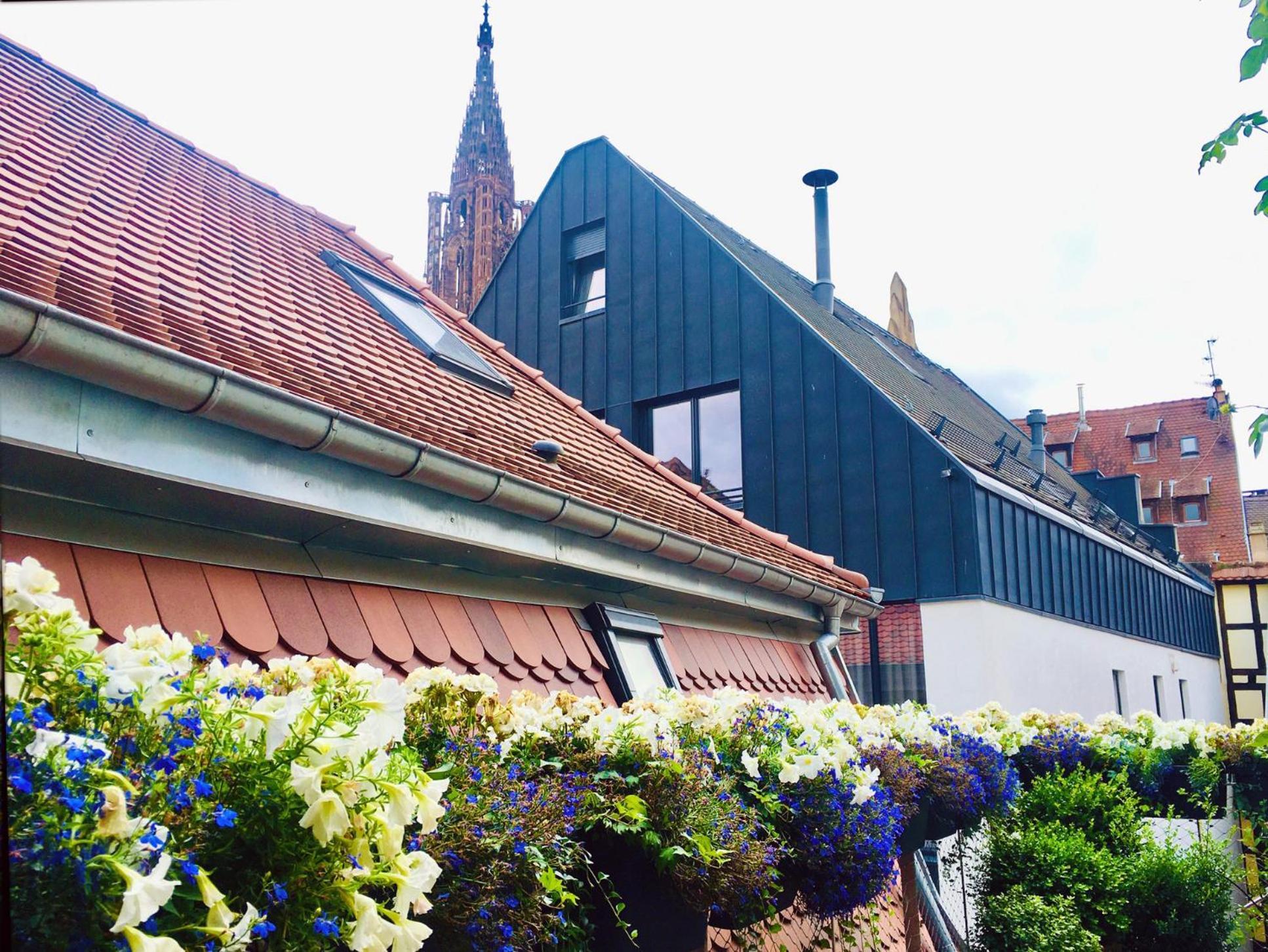 Le Carre D Or Appartement Terrasse Vue Cathedrale Страсбург Екстериор снимка